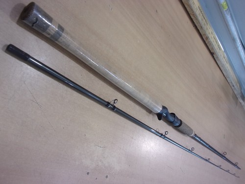 Fenwick hmx casting rod - hmx,